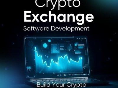 Professional Crypto Exchange Software Development Providers
