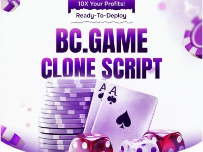 Power Up Online Gaming Operations with a Secure BC.Game Clone Script