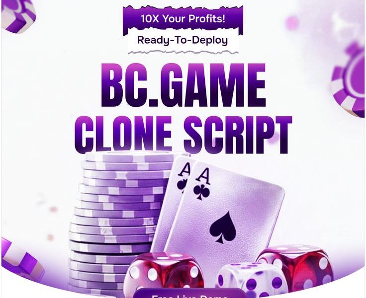 Power Up Online Gaming Operations with a Secure BC.Game Clone Script
