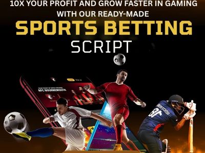 Cut the Development Delay with a Tailored Ready-Made Sports Betting Script
